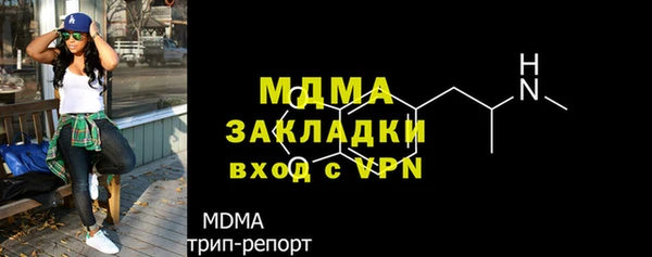 индика Бородино